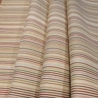 Полоса Светлая (ГБР) 